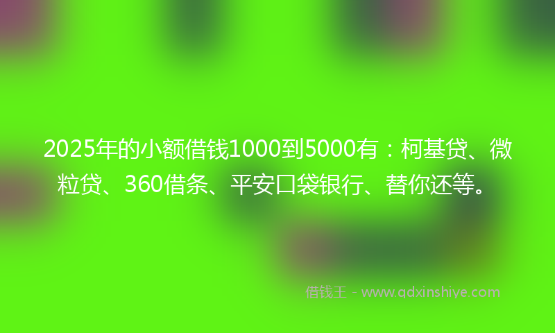 2025年的小额借钱1000到5000有：柯基贷、微粒贷、360借条、平安口袋银行、替你还等。
