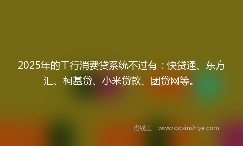 2025年的工行消费贷系统不过有：快贷通、东方汇、柯基贷、小米贷款、团贷网等。