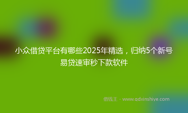 小众借贷平台有哪些2025年精选，归纳5个新号易贷速审秒下款软件