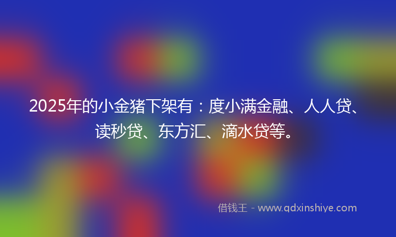 2025年的小金猪下架有：度小满金融、人人贷、读秒贷、东方汇、滴水贷等。