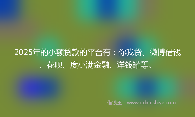 2025年的小额贷款的平台有：你我贷、微博借钱、花呗、度小满金融、洋钱罐等。