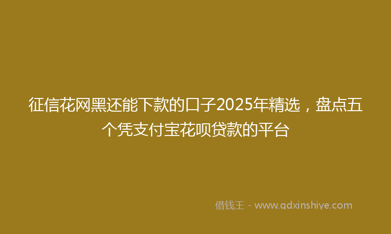 征信花网黑还能下款的口子2025年精选，盘点五个凭支付宝花呗贷款的平台