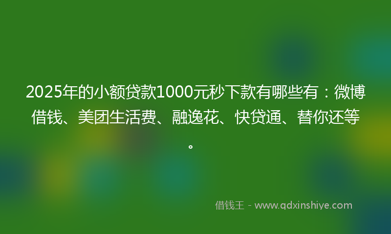 2025年的小额贷款1000元秒下款有哪些有：微博借钱、美团生活费、融逸花、快贷通、替你还等。