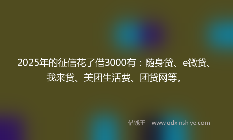 2025年的征信花了借3000有：随身贷、e微贷、我来贷、美团生活费、团贷网等。