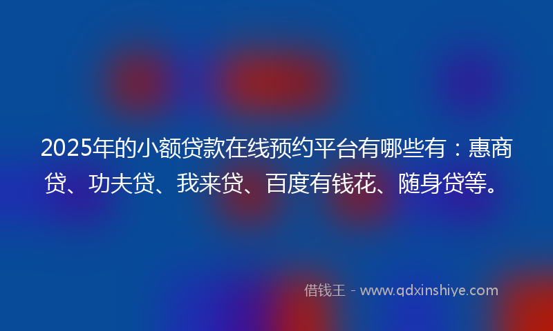 2025年的小额贷款在线预约平台有哪些有：惠商贷、功夫贷、我来贷、百度有钱花、随身贷等。