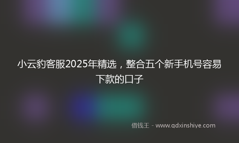 小云豹客服2025年精选，整合五个新手机号容易下款的口子