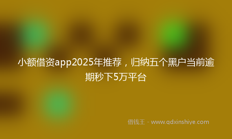 小额借资app2025年推荐，归纳五个黑户当前逾期秒下5万平台
