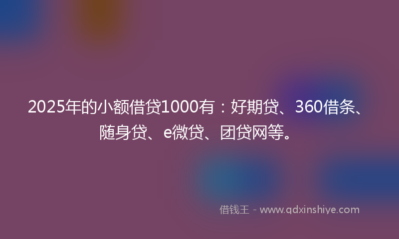 2025年的小额借贷1000有：好期贷、360借条、随身贷、e微贷、团贷网等。