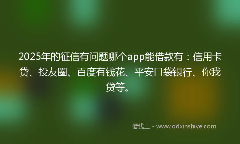 2025年的征信有问题哪个app能借款有：信用卡贷、投友圈、百度有钱花、平安口袋银行、你我贷等。