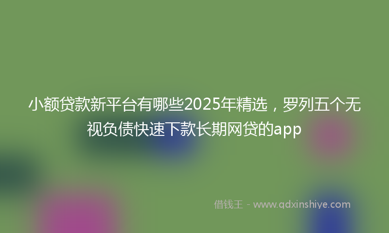 小额贷款新平台有哪些2025年精选，罗列五个无视负债快速下款长期网贷的app
