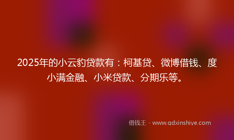 2025年的小云豹贷款有：柯基贷、微博借钱、度小满金融、小米贷款、分期乐等。