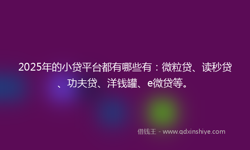 2025年的小贷平台都有哪些有：微粒贷、读秒贷、功夫贷、洋钱罐、e微贷等。
