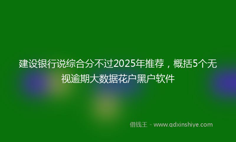 建设银行说综合分不过2025年推荐，概括5个无视逾期大数据花户黑户软件