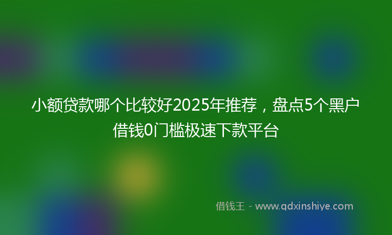小额贷款哪个比较好2025年推荐，盘点5个黑户借钱0门槛极速下款平台
