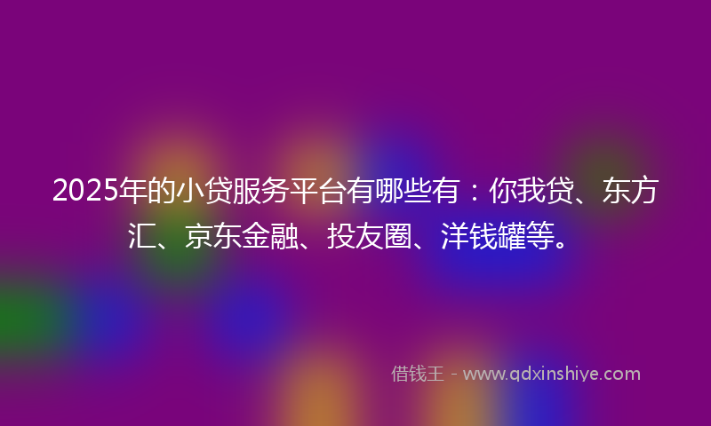 2025年的小贷服务平台有哪些有：你我贷、东方汇、京东金融、投友圈、洋钱罐等。