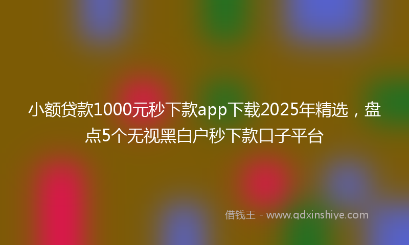 小额贷款1000元秒下款app下载2025年精选，盘点5个无视黑白户秒下款口子平台