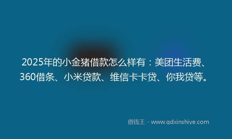 2025年的小金猪借款怎么样有：美团生活费、360借条、小米贷款、维信卡卡贷、你我贷等。