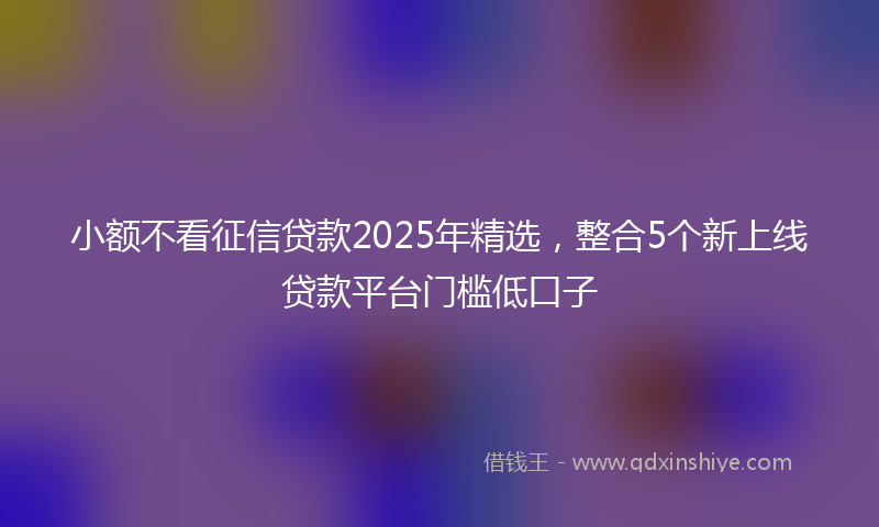 小额不看征信贷款2025年精选，整合5个新上线贷款平台门槛低口子