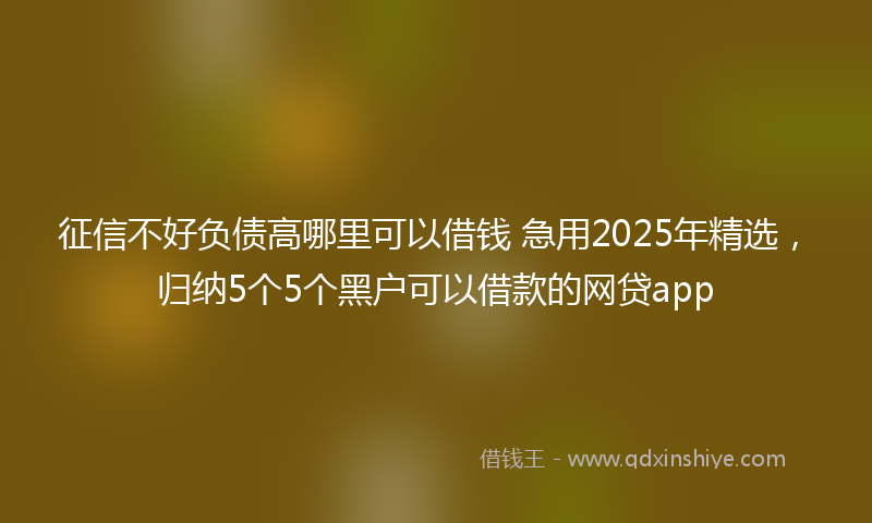 征信不好负债高哪里可以借钱 急用2025年精选，归纳5个5个黑户可以借款的网贷app