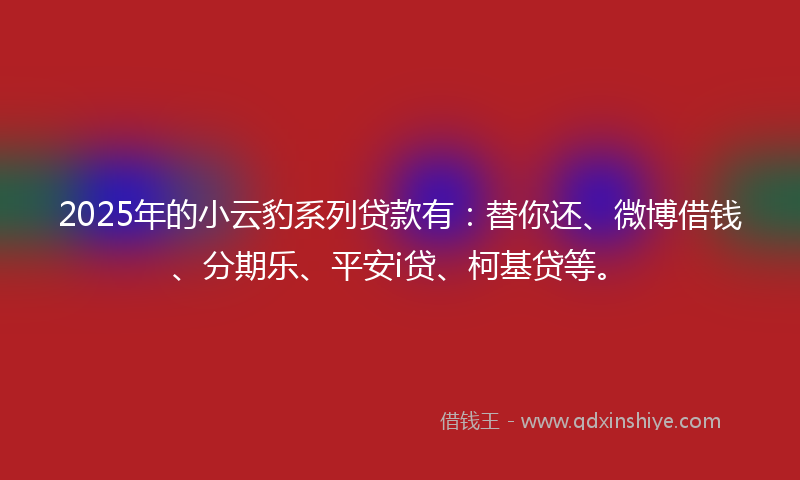 2025年的小云豹系列贷款有：替你还、微博借钱、分期乐、平安i贷、柯基贷等。