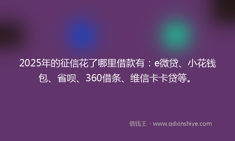 2025年的征信花了哪里借款有：e微贷、小花钱包、省呗、360借条、维信卡卡贷等。