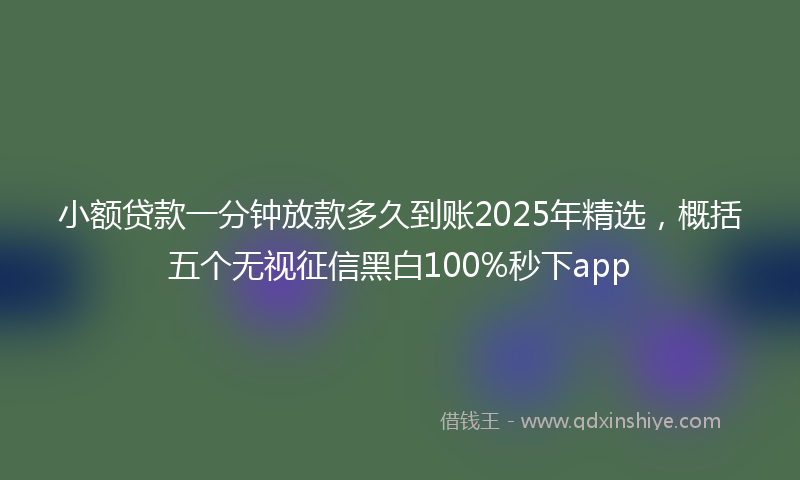 小额贷款一分钟放款多久到账2025年精选，概括五个无视征信黑白100%秒下app