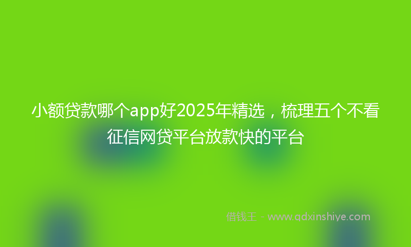 小额贷款哪个app好2025年精选，梳理五个不看征信网贷平台放款快的平台