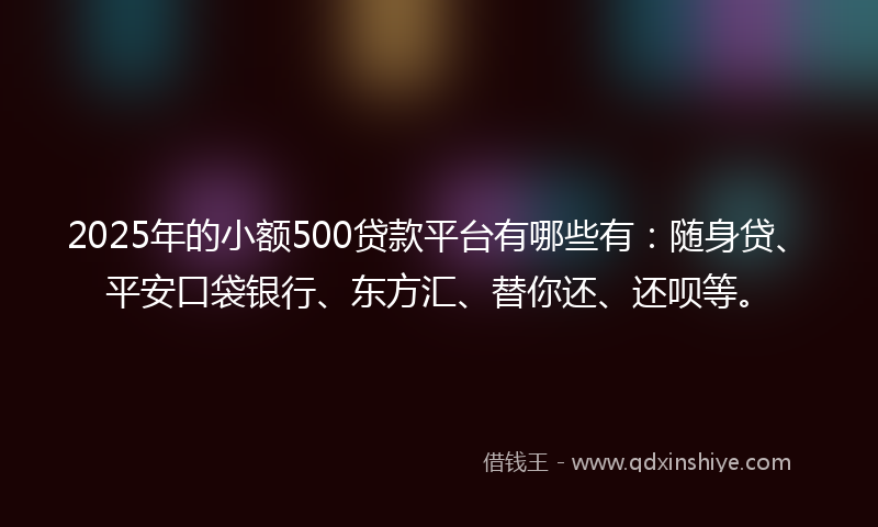 2025年的小额500贷款平台有哪些有：随身贷、平安口袋银行、东方汇、替你还、还呗等。
