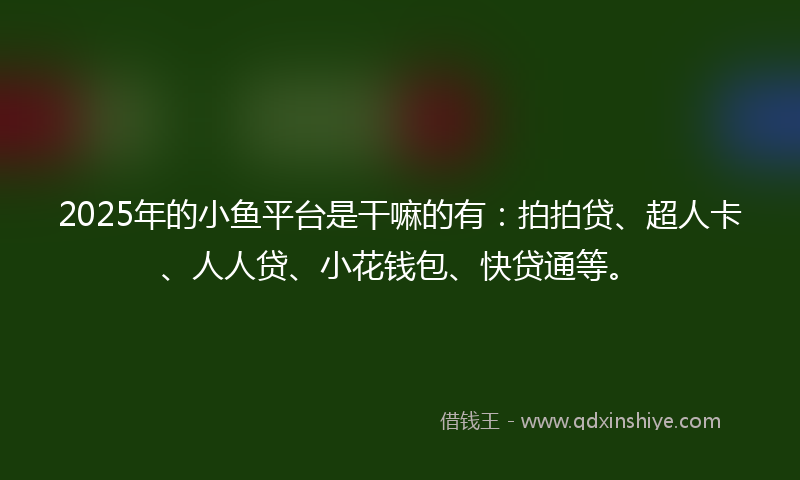 2025年的小鱼平台是干嘛的有：拍拍贷、超人卡、人人贷、小花钱包、快贷通等。