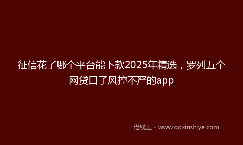 征信花了哪个平台能下款2025年精选，罗列五个网贷口子风控不严的app