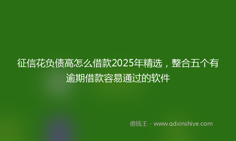 征信花负债高怎么借款2025年精选，整合五个有逾期借款容易通过的软件