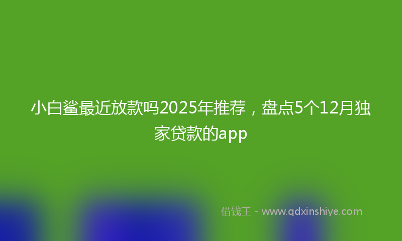 小白鲨最近放款吗2025年推荐，盘点5个12月独家贷款的app