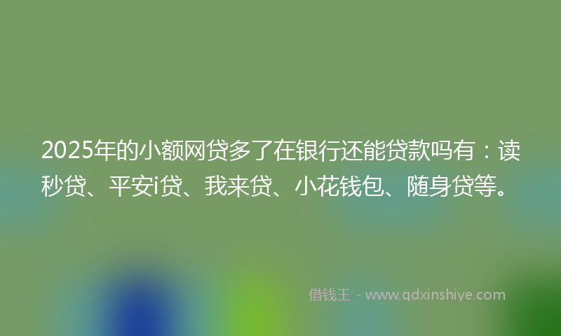 2025年的小额网贷多了在银行还能贷款吗有：读秒贷、平安i贷、我来贷、小花钱包、随身贷等。