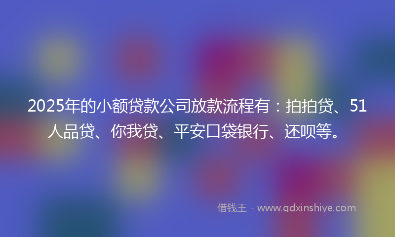 2025年的小额贷款公司放款流程有：拍拍贷、51人品贷、你我贷、平安口袋银行、还呗等。