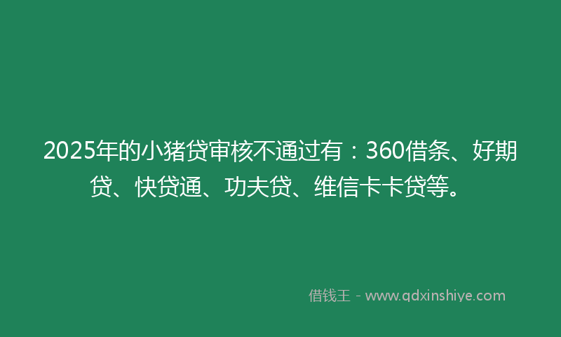 2025年的小猪贷审核不通过有：360借条、好期贷、快贷通、功夫贷、维信卡卡贷等。