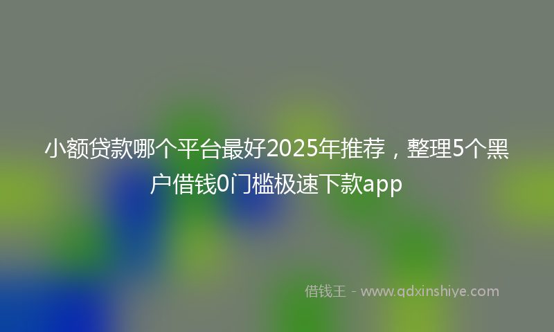 小额贷款哪个平台最好2025年推荐，整理5个黑户借钱0门槛极速下款app