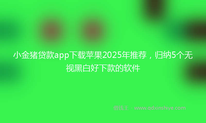 小金猪贷款app下载苹果2025年推荐，归纳5个无视黑白好下款的软件