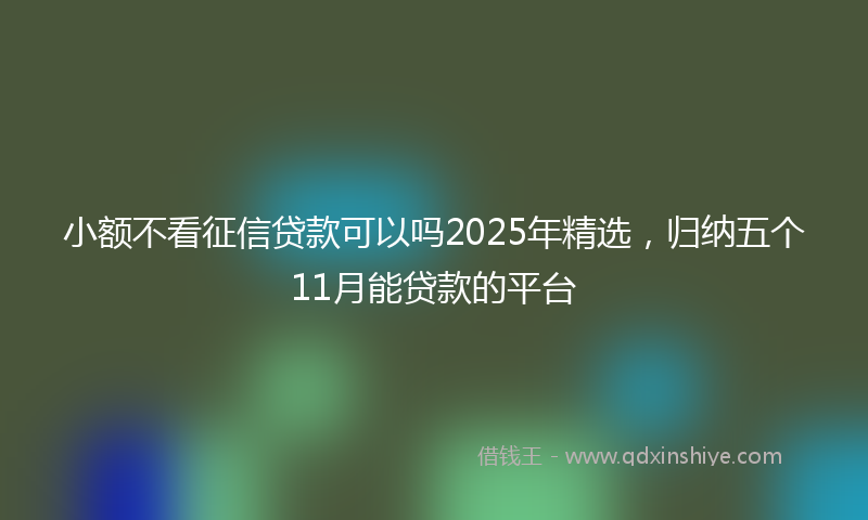 小额不看征信贷款可以吗2025年精选，归纳五个11月能贷款的平台