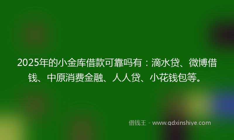 2025年的小金库借款可靠吗有：滴水贷、微博借钱、中原消费金融、人人贷、小花钱包等。