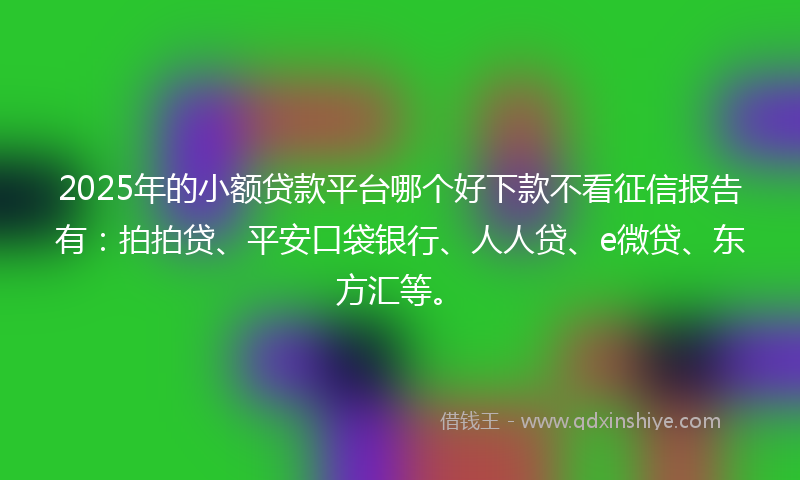 2025年的小额贷款平台哪个好下款不看征信报告有：拍拍贷、平安口袋银行、人人贷、e微贷、东方汇等。