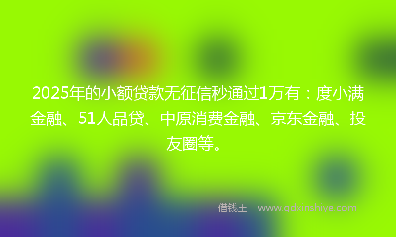 2025年的小额贷款无征信秒通过1万有：度小满金融、51人品贷、中原消费金融、京东金融、投友圈等。