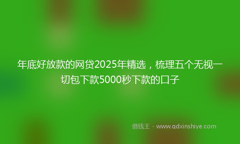 年底好放款的网贷2025年精选，梳理五个无视一切包下款5000秒下款的口子