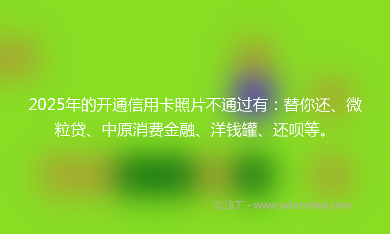 2025年的开通信用卡照片不通过有：替你还、微粒贷、中原消费金融、洋钱罐、还呗等。
