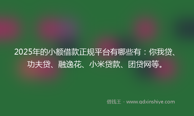 2025年的小额借款正规平台有哪些有：你我贷、功夫贷、融逸花、小米贷款、团贷网等。