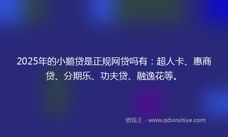 2025年的小鹅贷是正规网贷吗有：超人卡、惠商贷、分期乐、功夫贷、融逸花等。