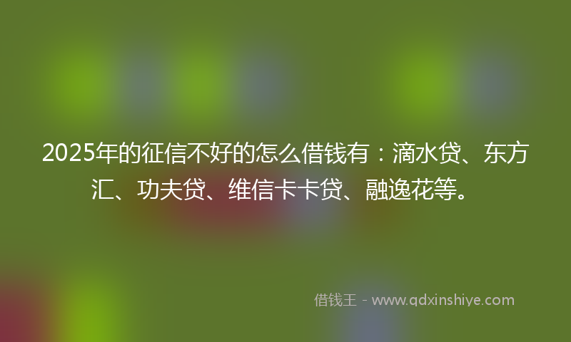 2025年的征信不好的怎么借钱有：滴水贷、东方汇、功夫贷、维信卡卡贷、融逸花等。
