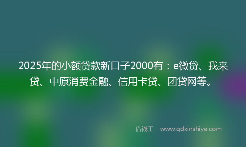 2025年的小额贷款新口子2000有：e微贷、我来贷、中原消费金融、信用卡贷、团贷网等。