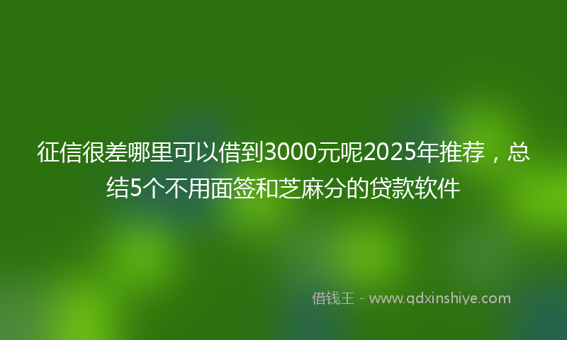 征信很差哪里可以借到3000元呢2025年推荐，总结5个不用面签和芝麻分的贷款软件