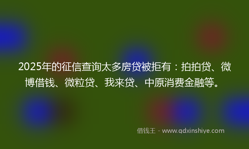 2025年的征信查询太多房贷被拒有：拍拍贷、微博借钱、微粒贷、我来贷、中原消费金融等。