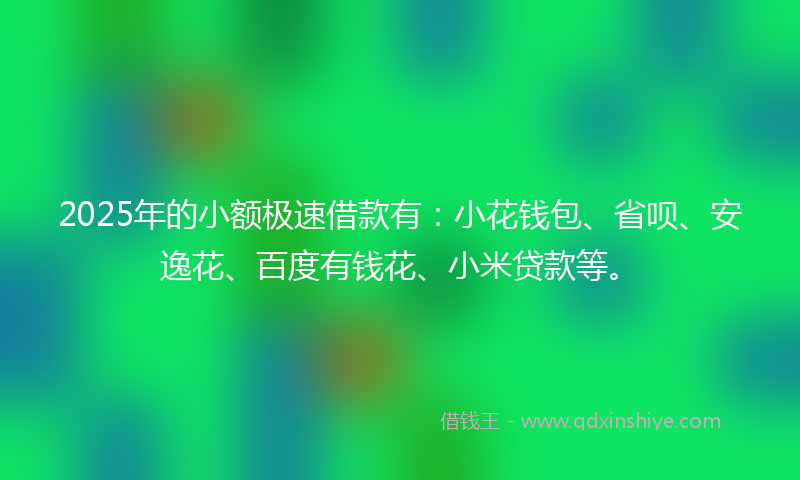 2025年的小额极速借款有：小花钱包、省呗、安逸花、百度有钱花、小米贷款等。